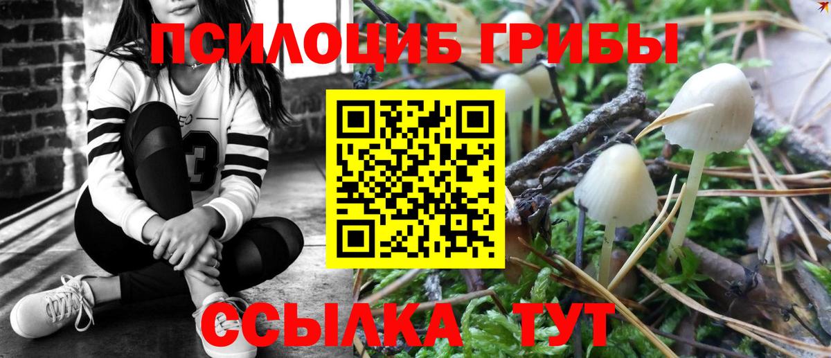 Псилоцибиновые грибы мухоморы  Чапаевск 