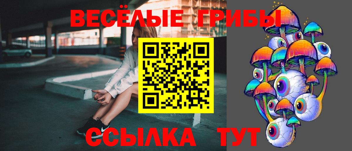 Псилоцибиновые грибы Psilocybe  как найти закладки  Чапаевск  Вход с VPN 