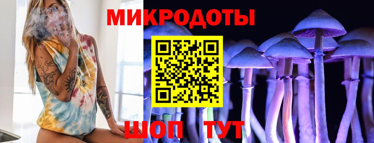 Галлюциногенные грибы Psilocybine cubensis Чапаевск